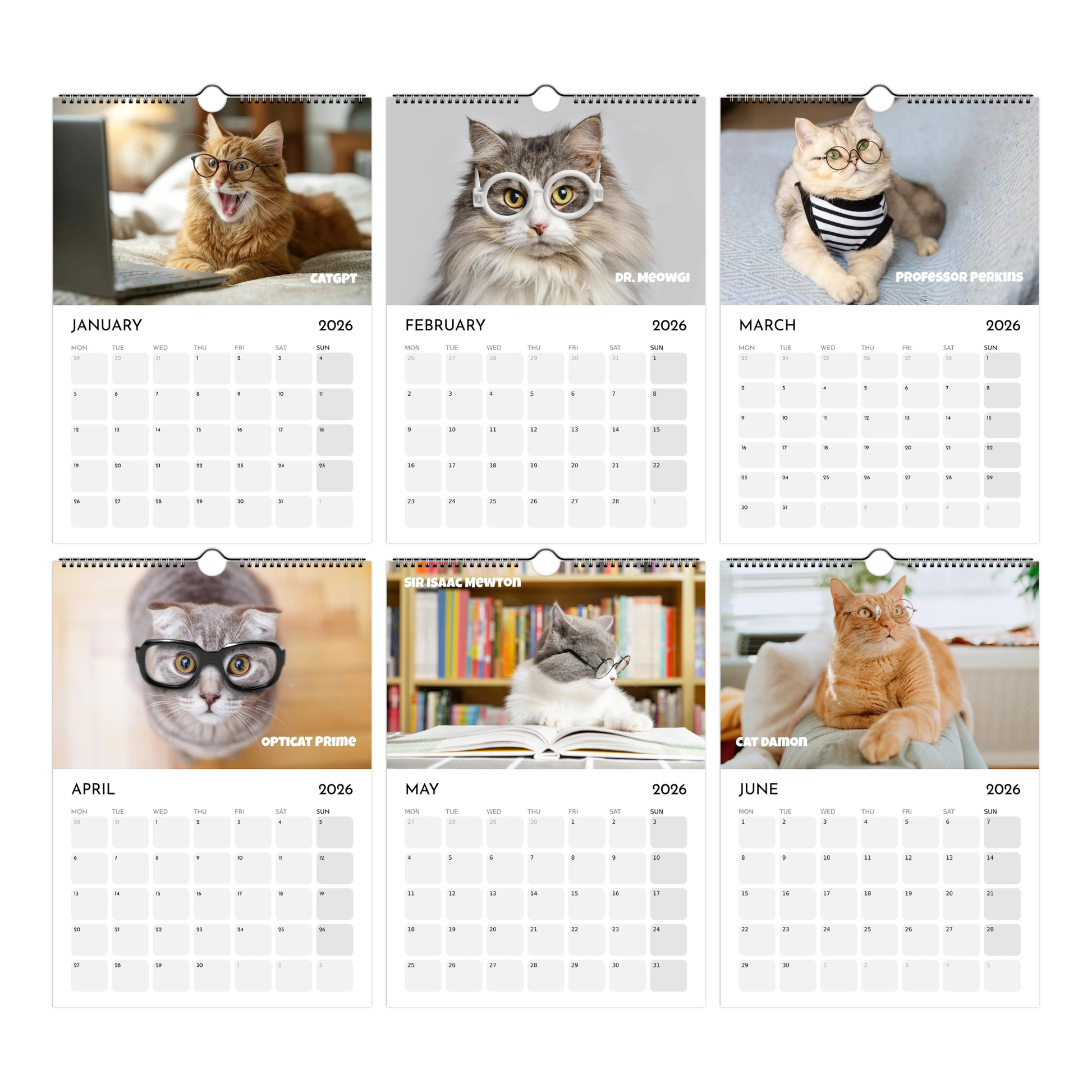 Calendar with images of cats for each month of 2026
