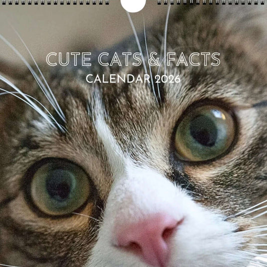 Cute Cats and Facts Wall Calendar 2026 (Thumbnail)