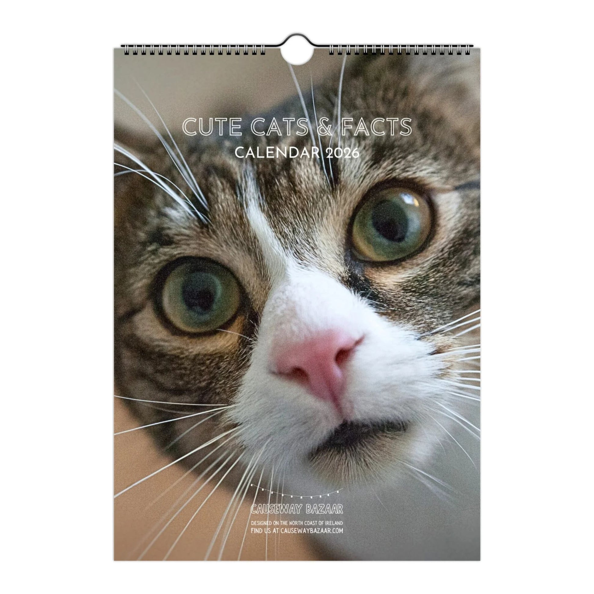 Cute Cat Facts Calendar 2026