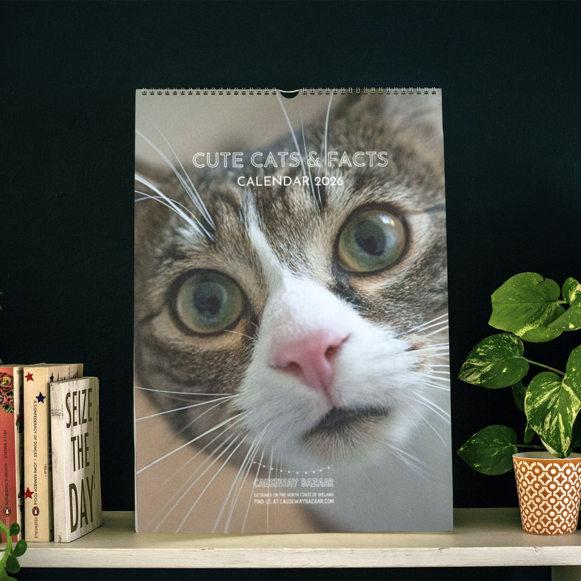 Cute Cats and Facts Wall Calendar 2026 In Situ