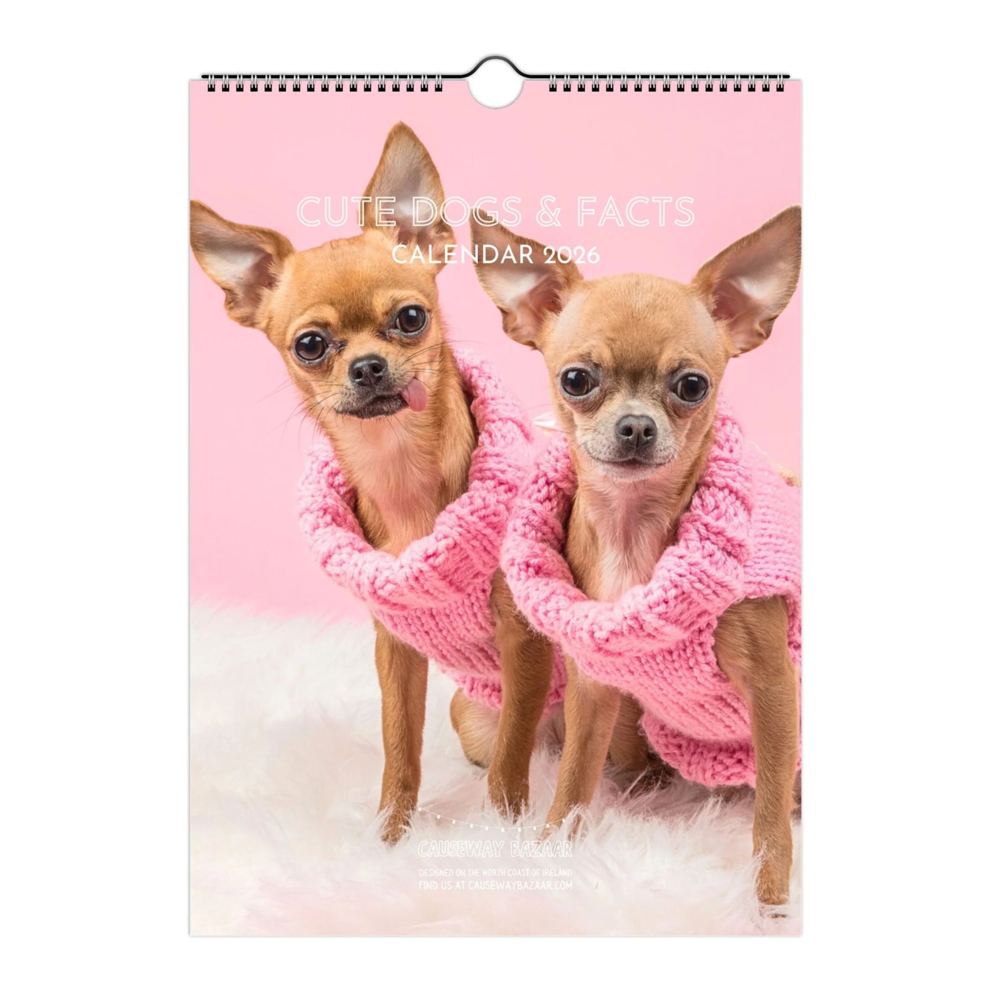 Cute Dogs and Facts Wall Calendar 2026 (Front Cover)