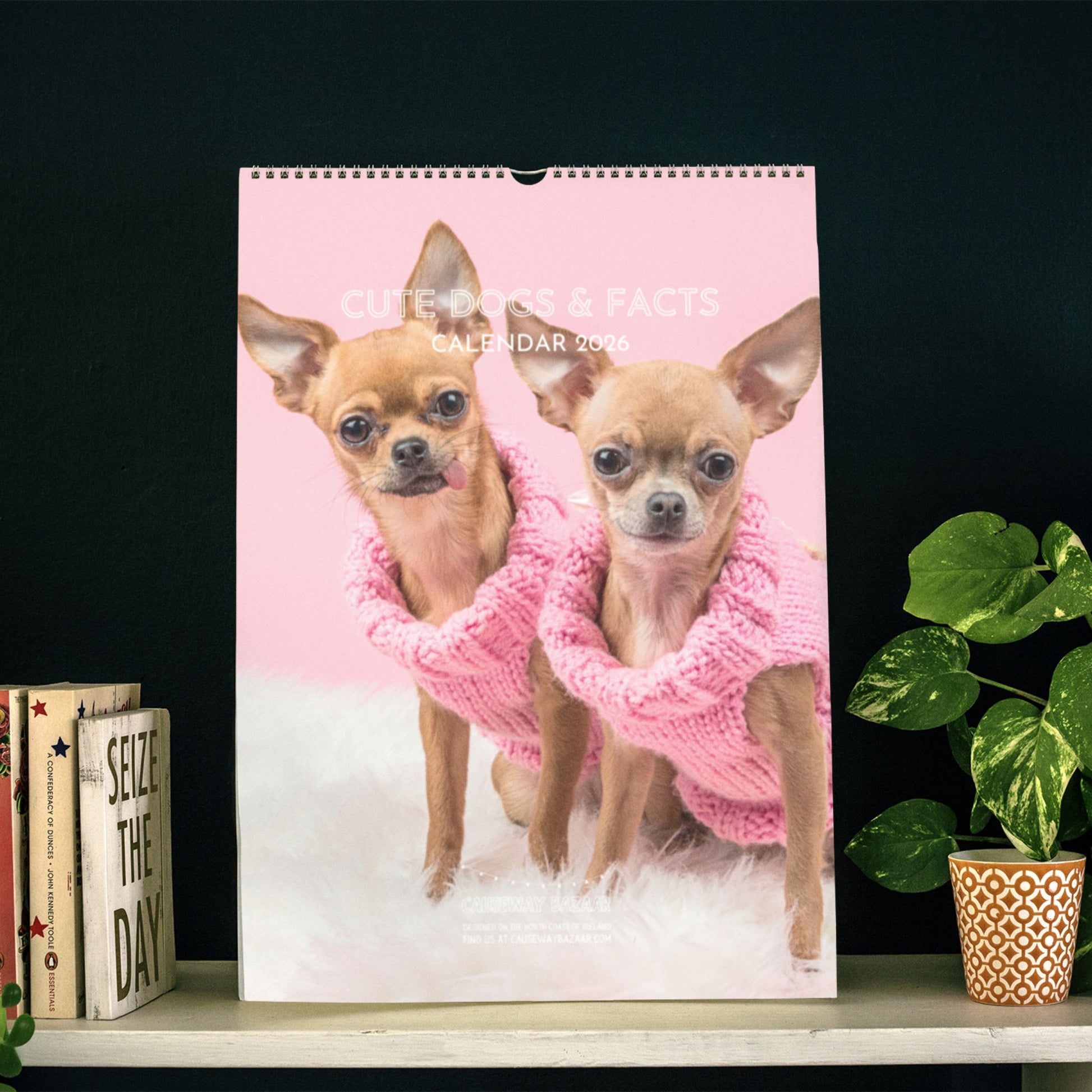 Cute Dogs and Facts Wall Calendar 2026 (In Situ)