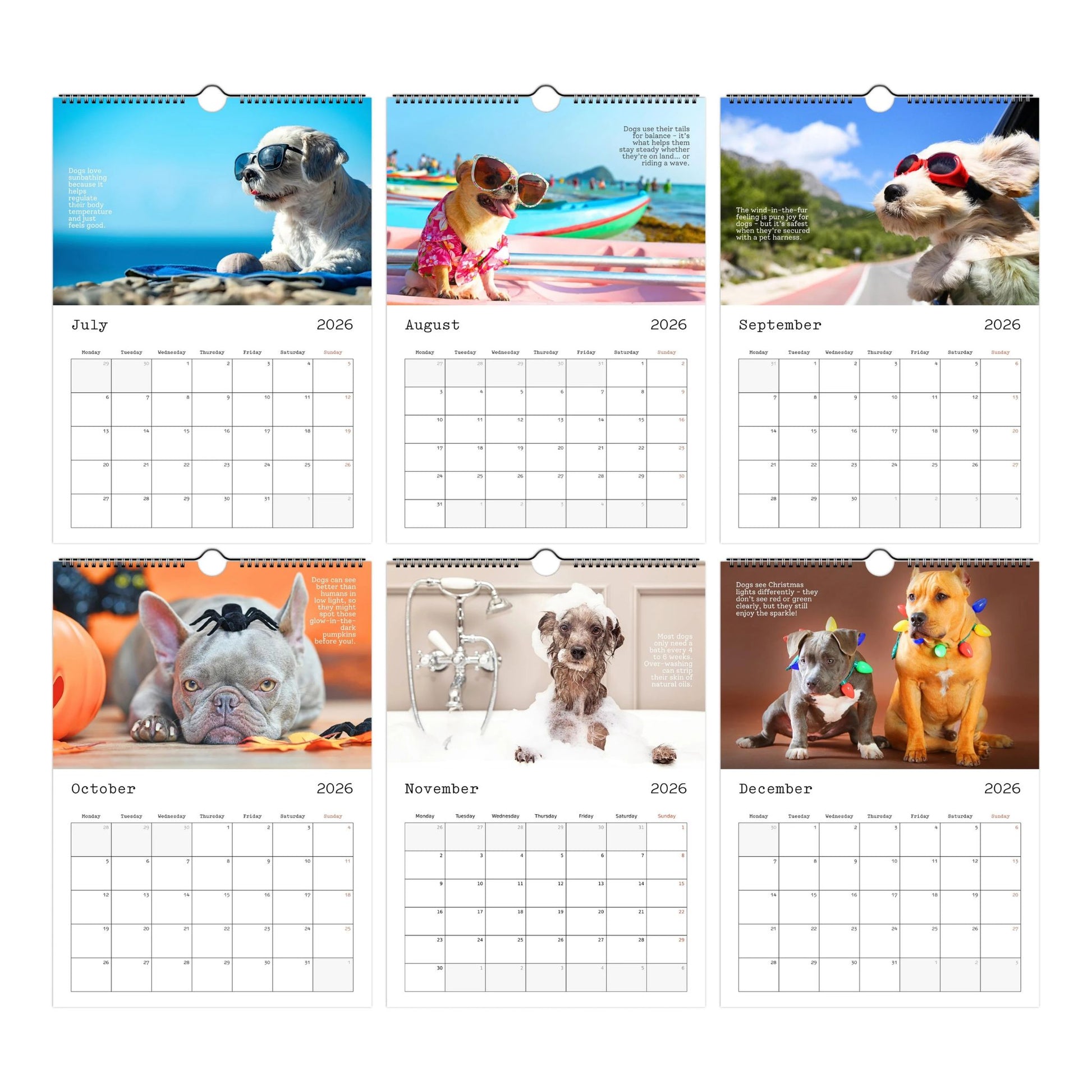 Cute Dogs and Facts Wall Calendar 2026 (July to December Thumbnails)