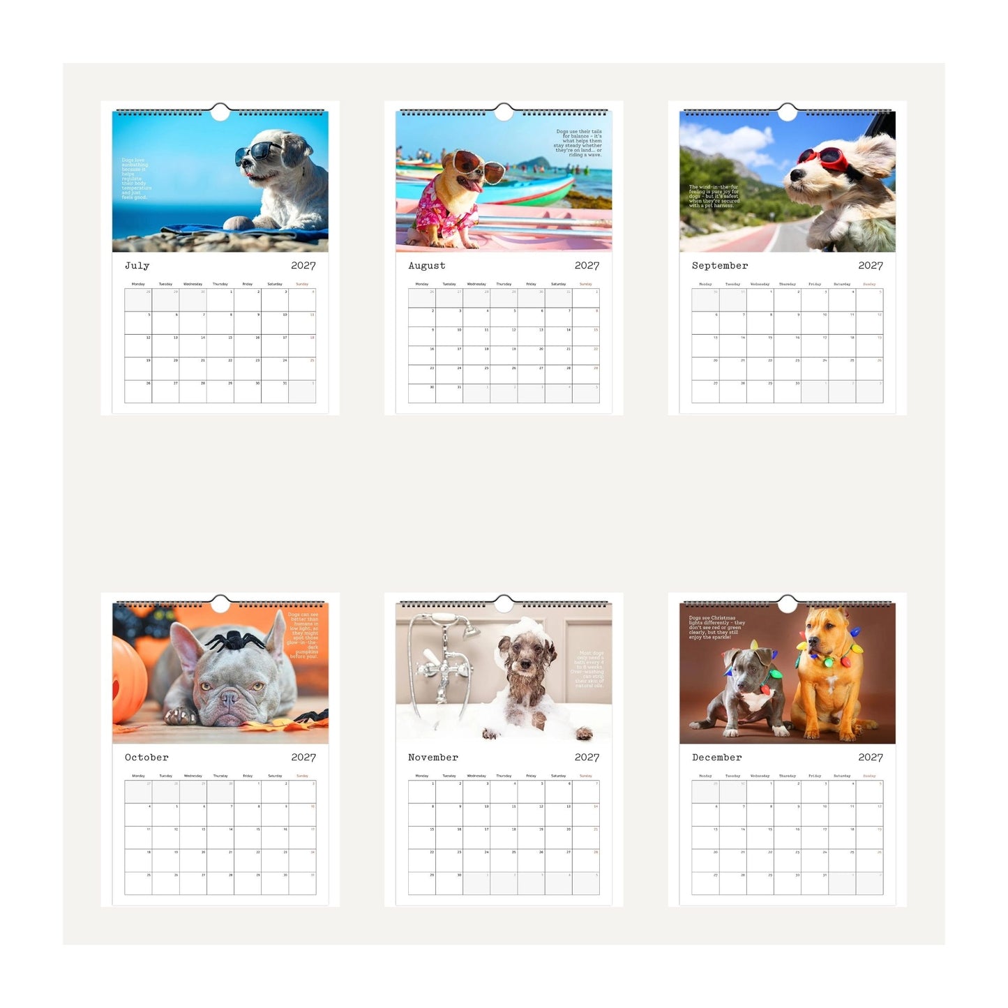 Thumbnail images for the Cute Dogs and Facts 2027 wall calendar. Featuring humorous dog photos for each month from July 2027 to December 2027. The dogs wear funny outfits and accessories like a party hat, glasses, sunglasses, and a rainbow collar.