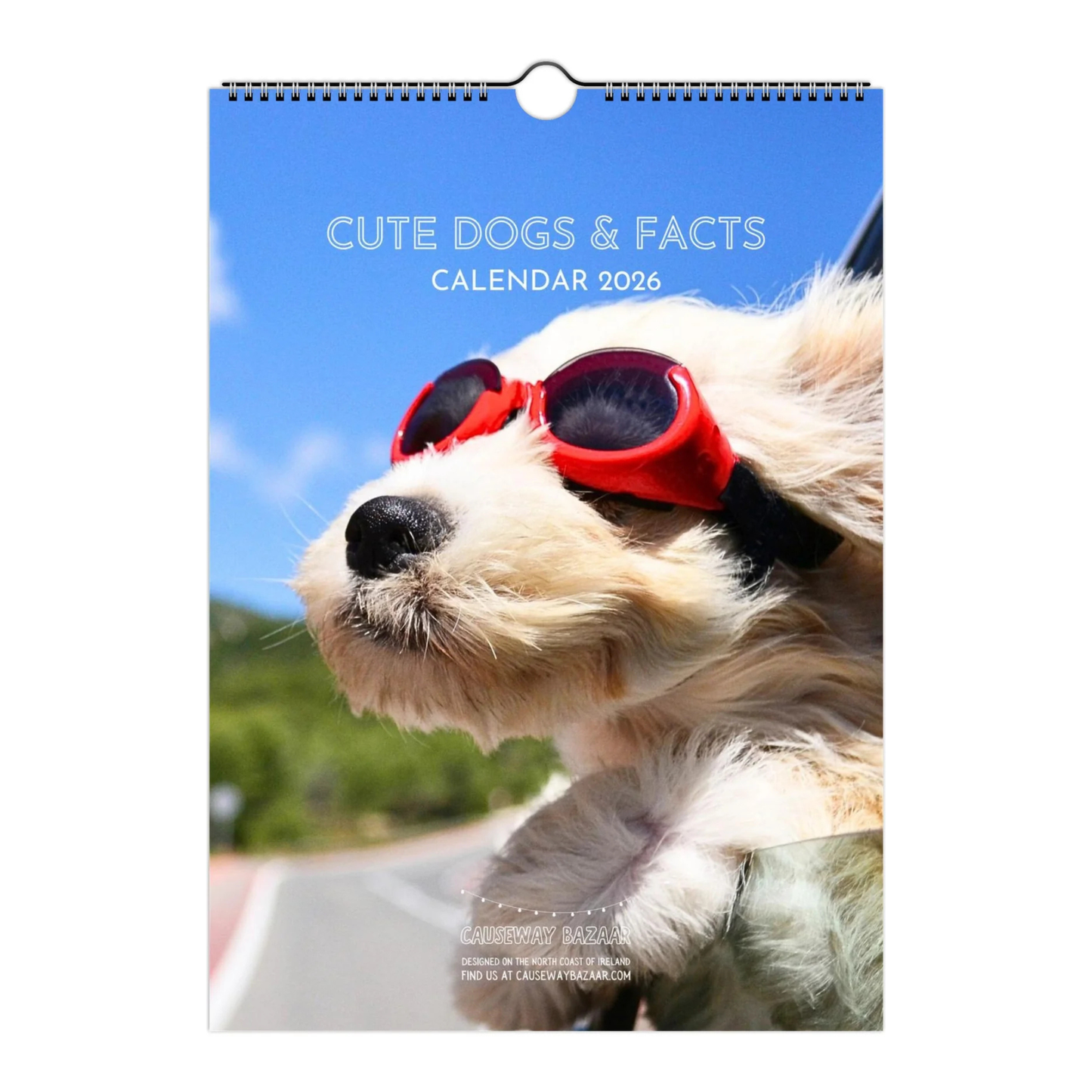 Dogs Calendar 2026 cover image featuring a dog wearing sunglasses with a blue sky background