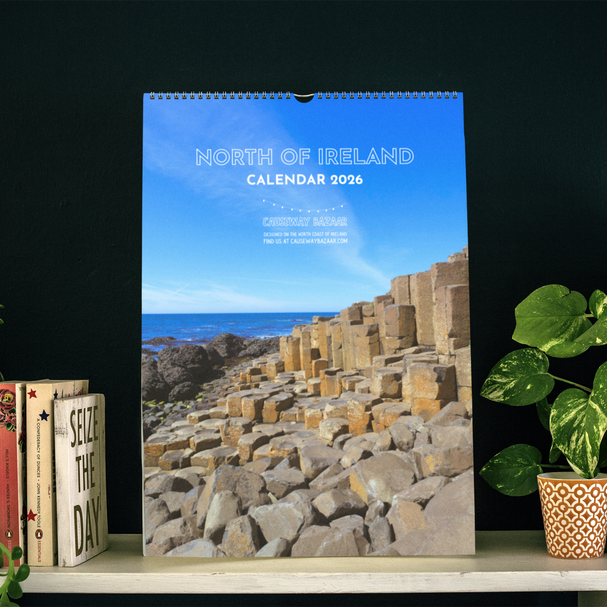 Calendar titled 'North of Ireland' for 2026 on a shelf with books and a plant.