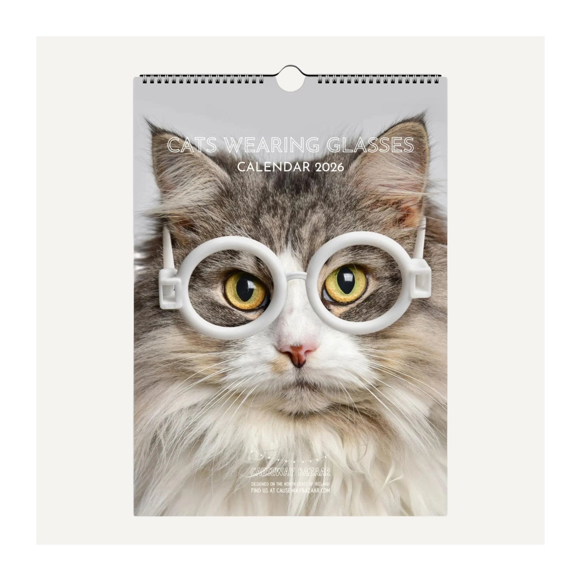 Calendar cover featuring a cat wearing glasses with text 'Cats Wearing Glasses Cat Calendar 2026'.