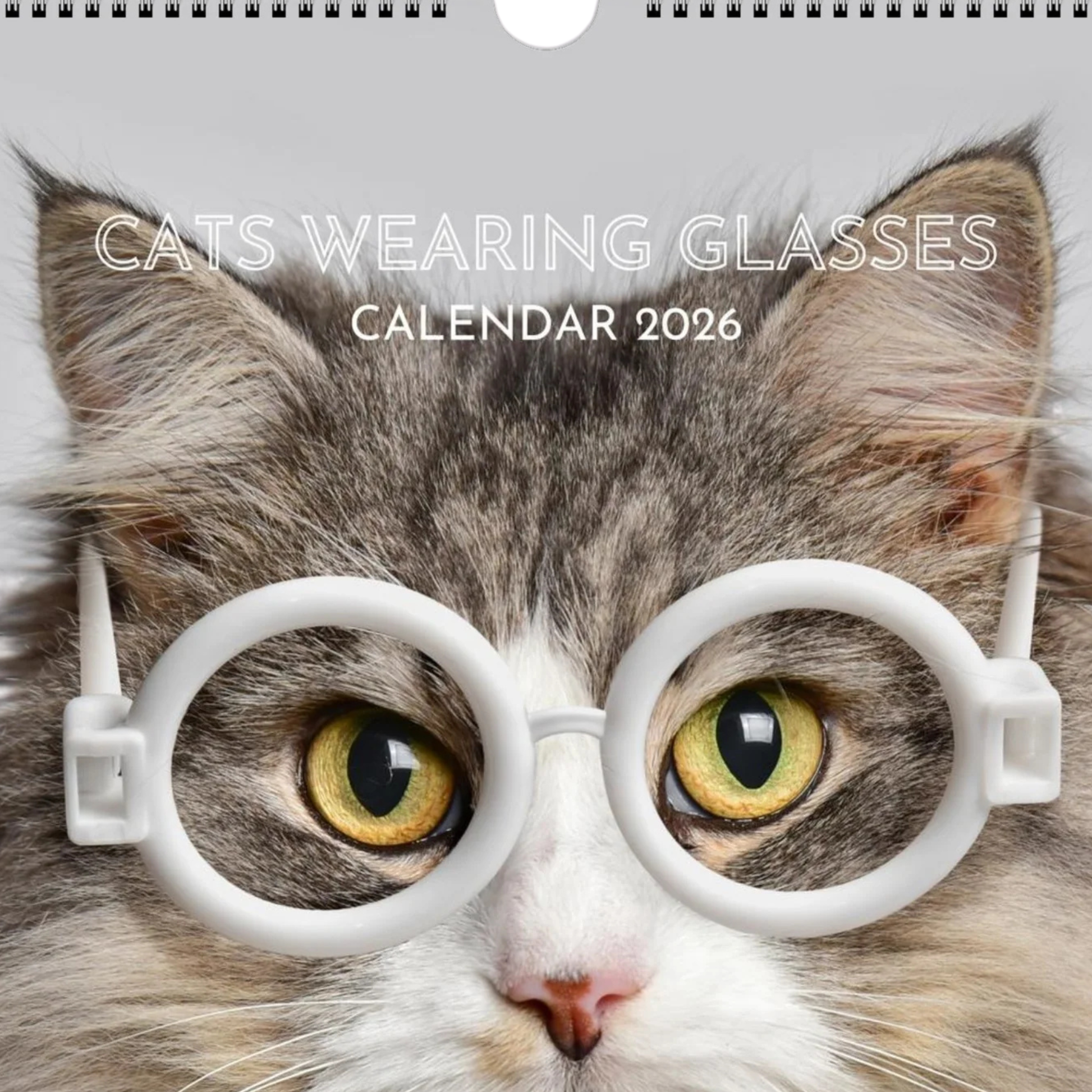 Calendar cover featuring a cat wearing glasses with text 'Cats Wearing Glasses Calendar 2026'.