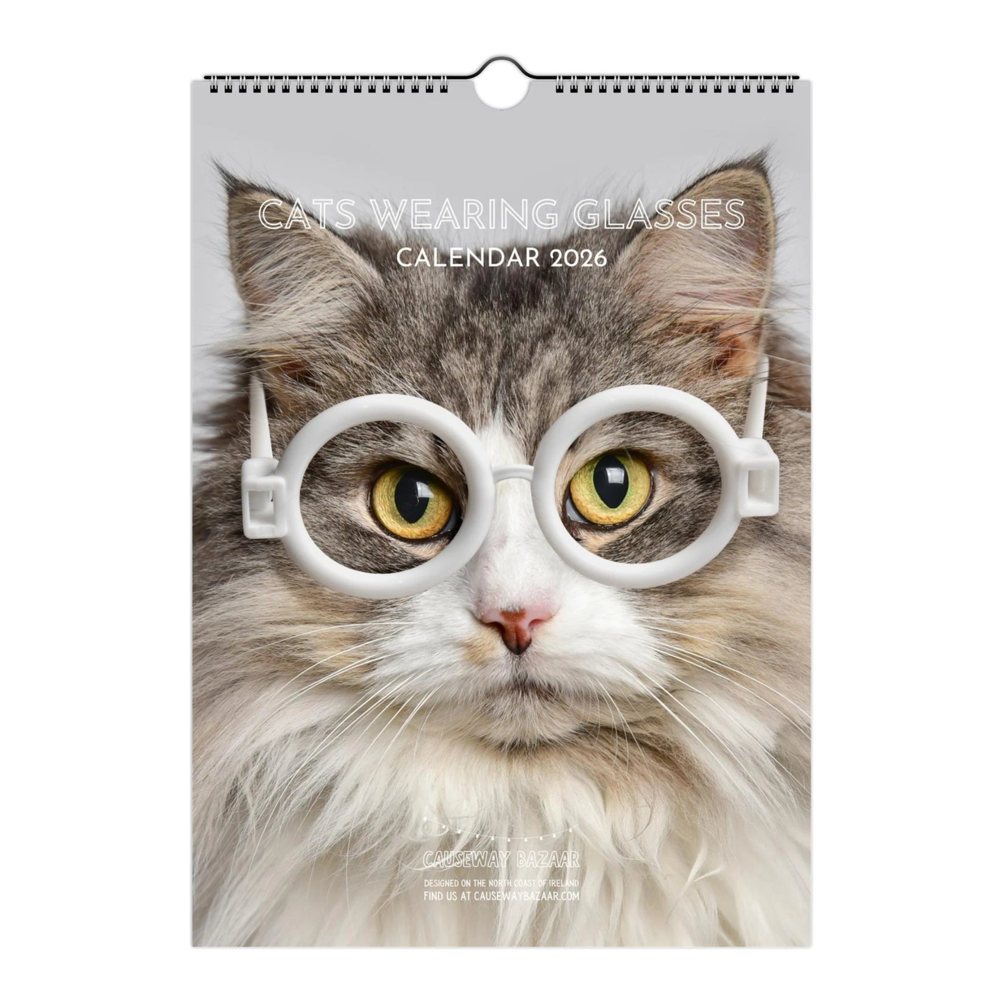 Calendar cover featuring a cat wearing glasses with text 'Cats Wearing Glasses Calendar 2026'.