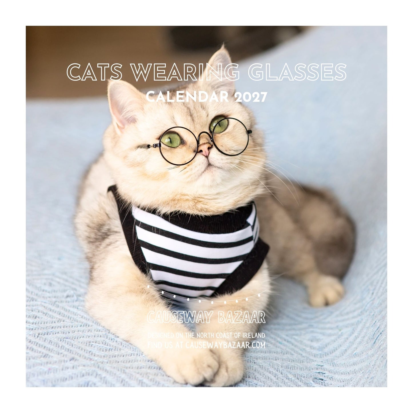 Calendar cover for a CATS WEARING GLASSES CALENDAR 2027 featuring a fluffy cream-coloured cat wearing round black-rimmed glasses and a black-and-white striped bandana on a light blue textured blanket. 