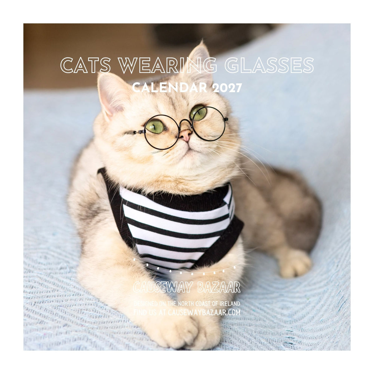 Calendar cover for a CATS WEARING GLASSES CALENDAR 2027 featuring a fluffy cream-coloured cat wearing round black-rimmed glasses and a black-and-white striped bandana on a light blue textured blanket. 