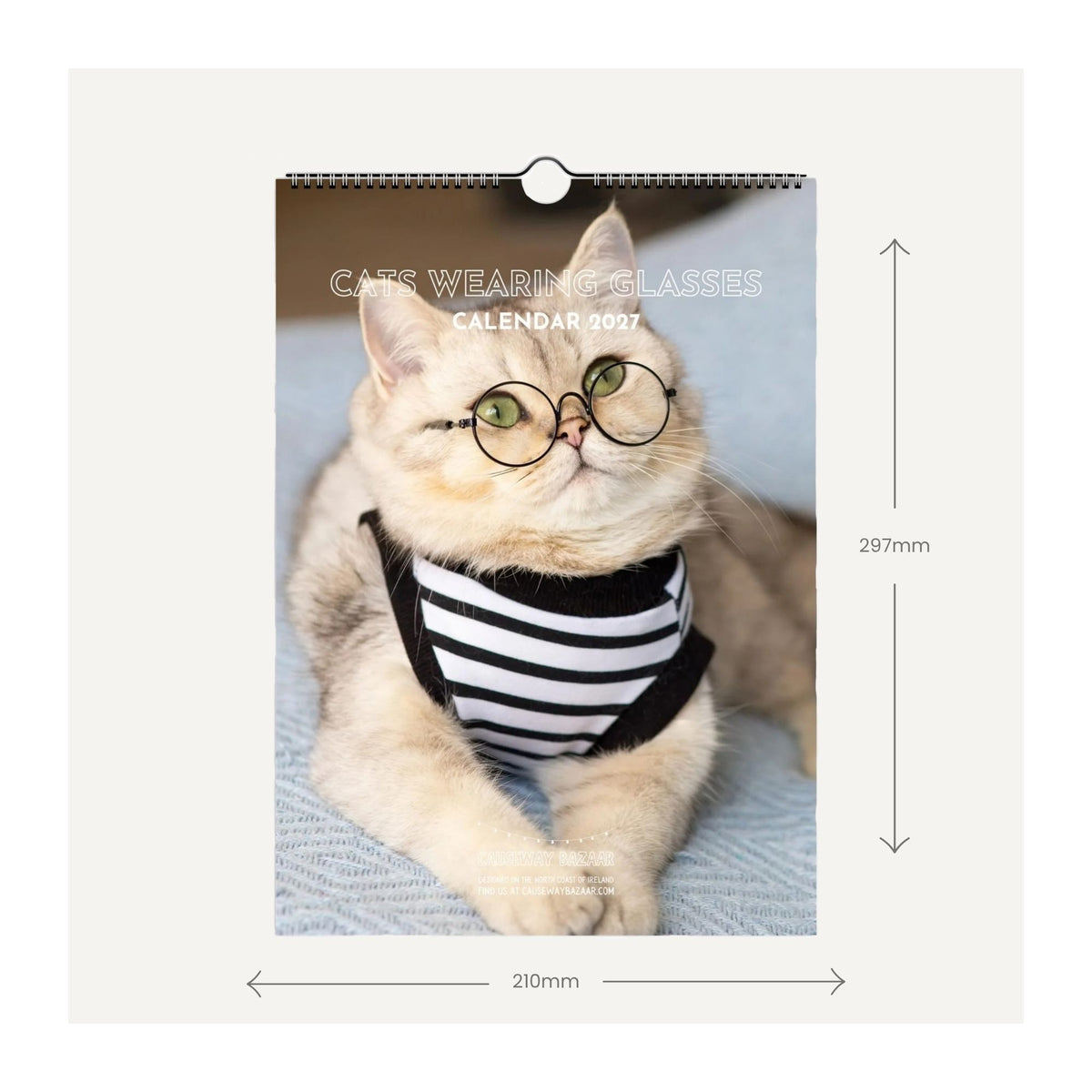 A 2027 Cats Wearing Glasses wall calendar featuring a photo of a cream-coloured cat wearing round black glasses and a black-and-white striped shirt, shown with dimension arrows and labels.