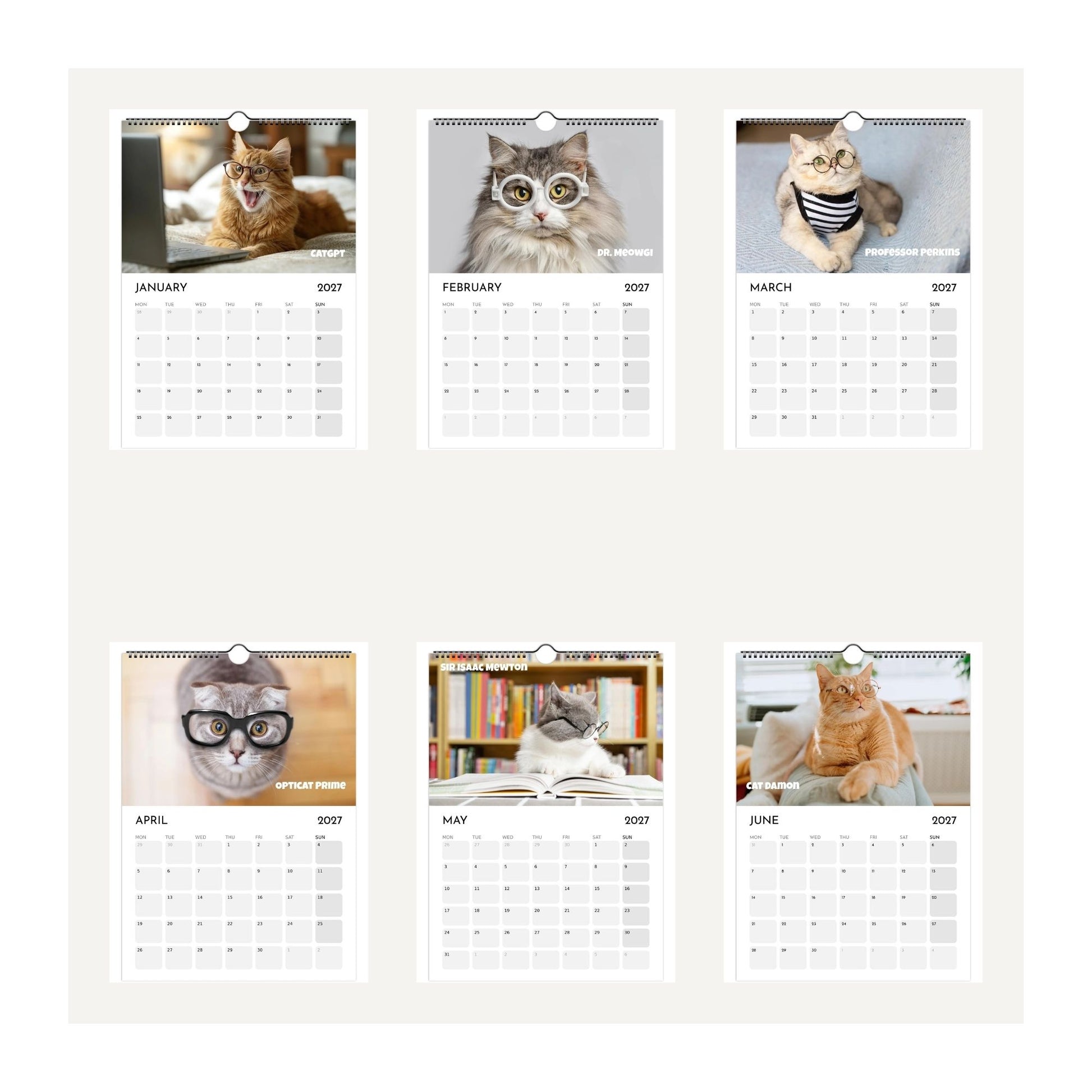 Six-month thumbnail images of January to June 2027 pages taken from the Cats Wearing Glasses 2027 wall calendar featuring humorous cat photos for each month, displayed on a light beige background.
