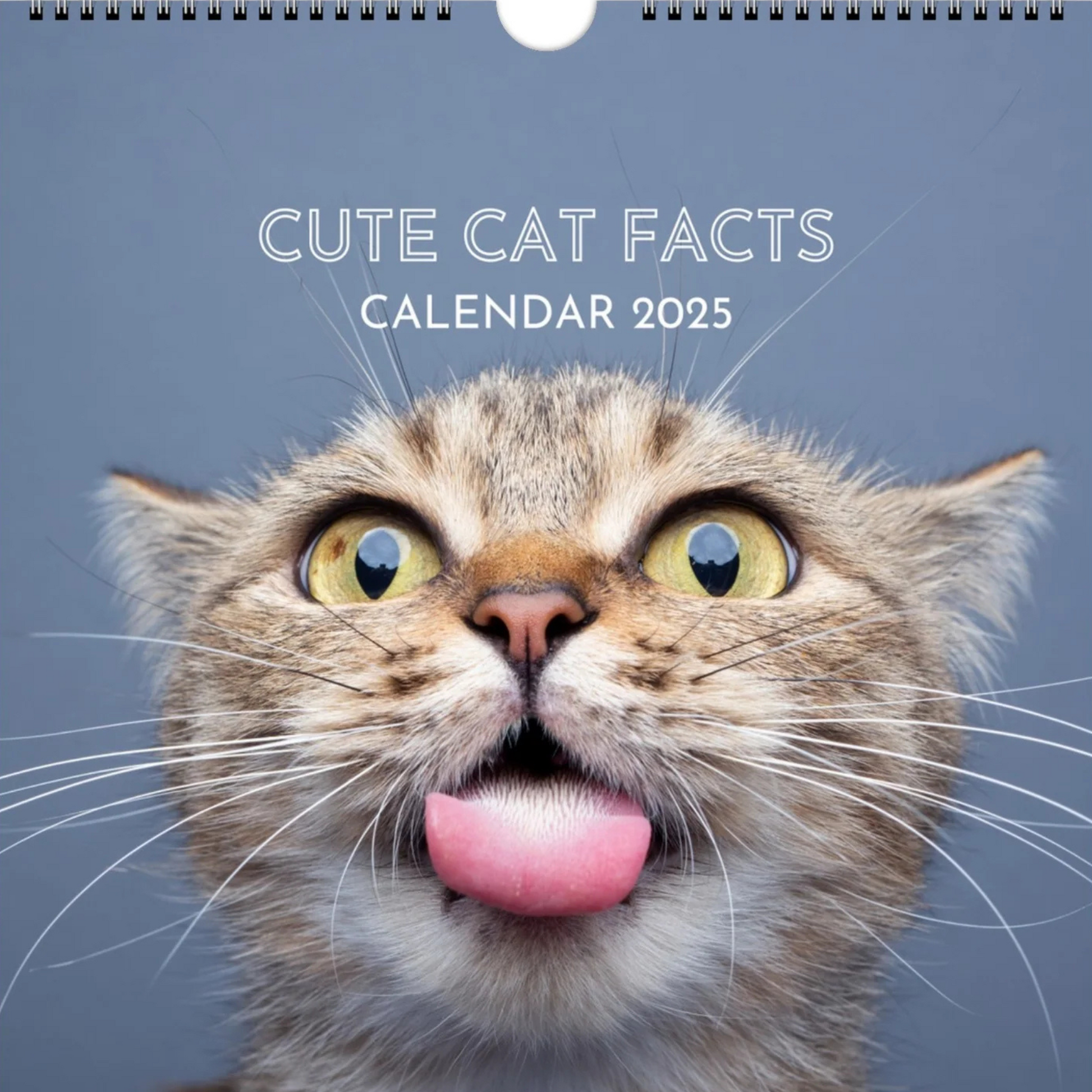 Cute Cat Facts Calendar 2025