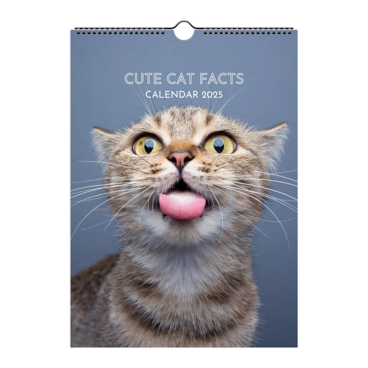 Cute Cat Facts Calendar 2025