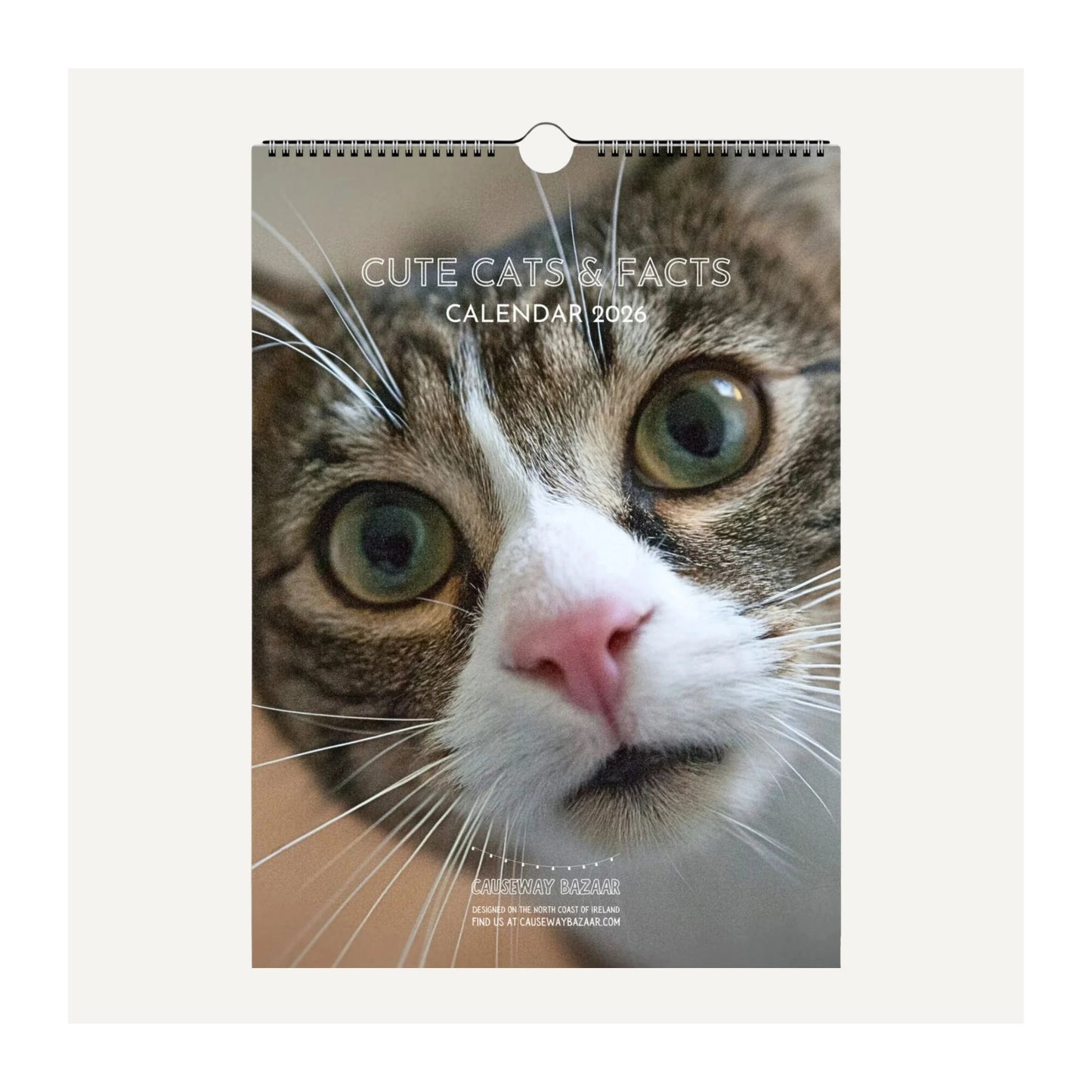 Cute Cats and Facts Wall Calendar 2026 (Thumbnail)