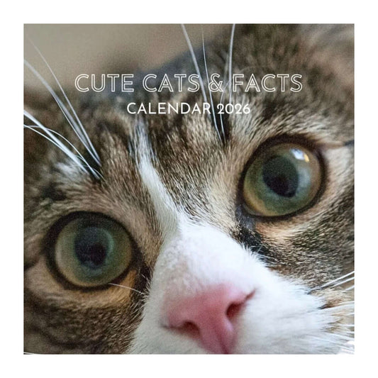 Cute Cats and Facts Wall Calendar 2026 (Thumbnail)