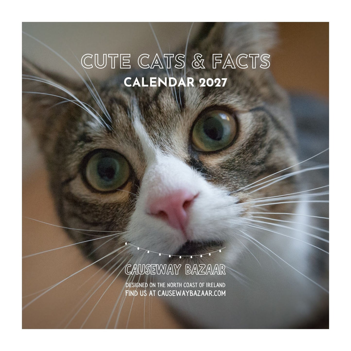 Square product cover for a 2027 calendar titled 'Cute Cats & Facts' featuring a close-up photo of a white and brown tabby cat with green eyes. The text 'CALENDAR 2027' appears above the cat, and 'CAUSEWAY BAZAAR' with address and website text appears below.