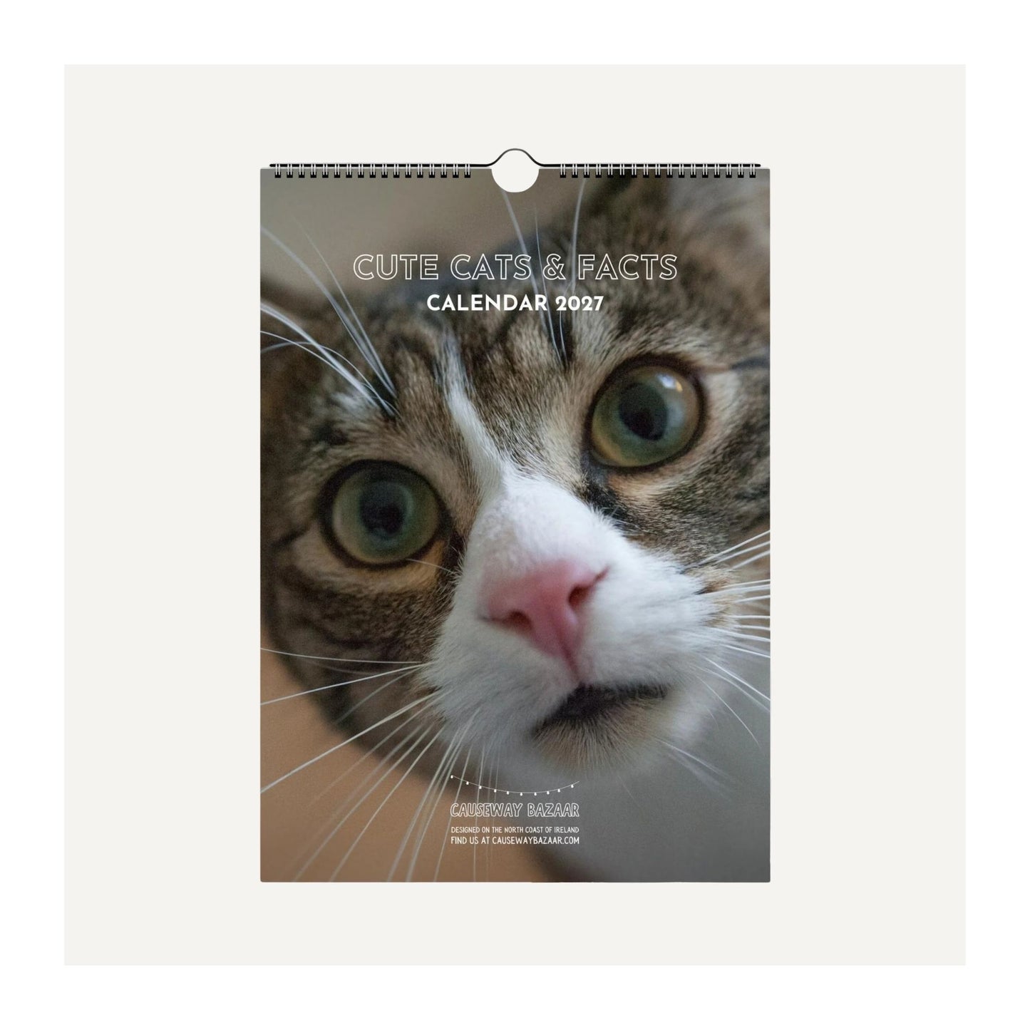 A wall calendar titled 'CUTE CATS & FACTS CALENDAR 2027' featuring a close-up photo of a tabby cat on the cover, shown hanging against a light beige background.