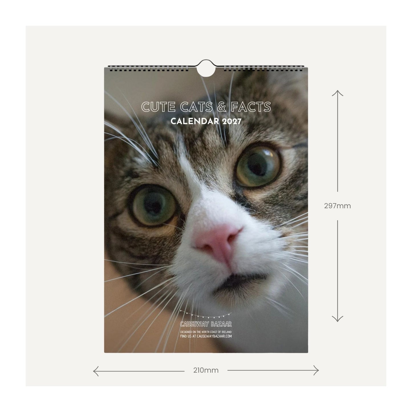 A 2027 wall calendar featuring a close-up cat face on the cover, shown with dimension arrows and labels indicating 210 mm width and 297 mm height on a light gray background.