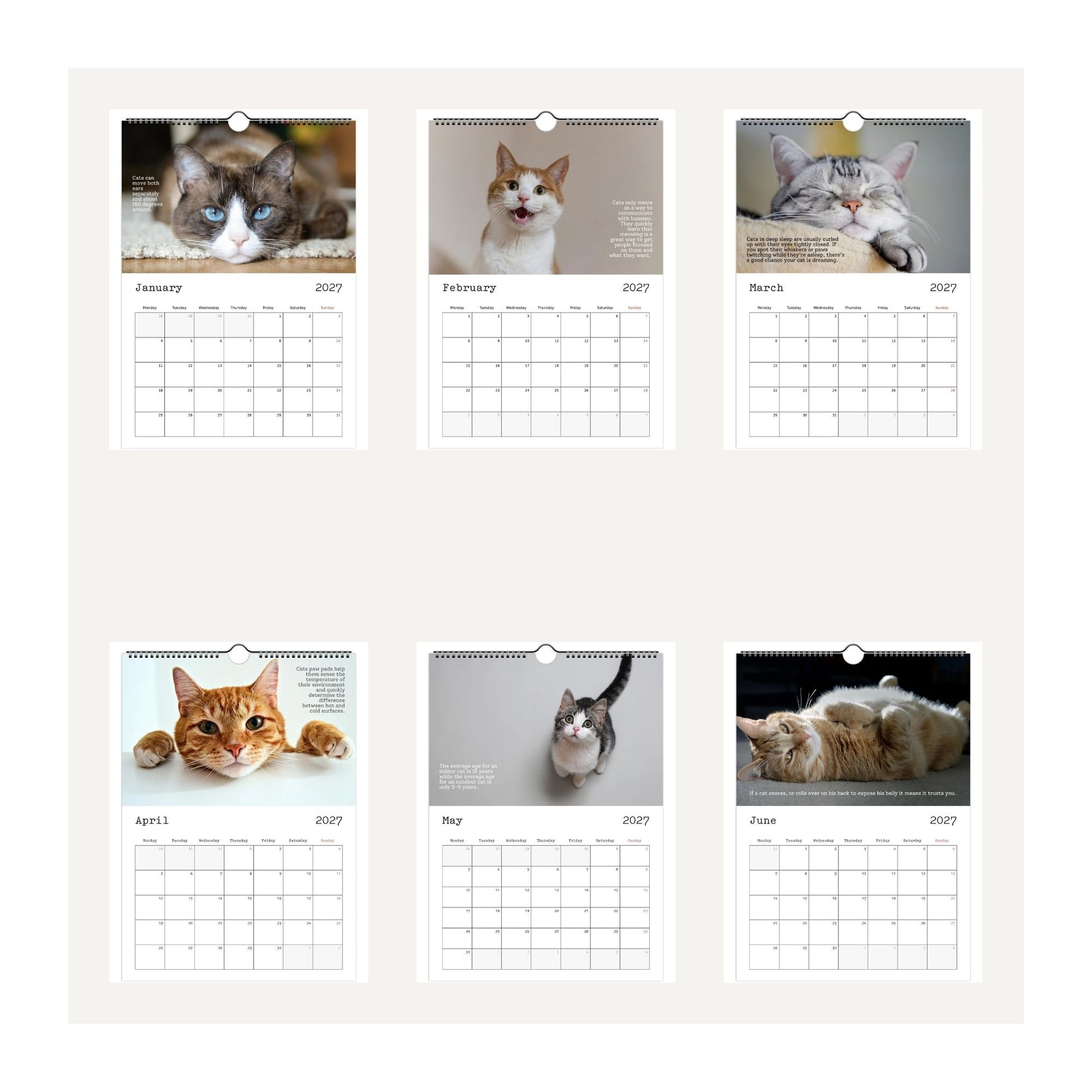 Thumbnail images of a 2027 Cute Cats and Facts wall calendar displayed on a light beige background, featuring cat photographs for each month from January 2027 to June 2027. The calendar has a white grid layout with black text and is shown as a flat product mockup.