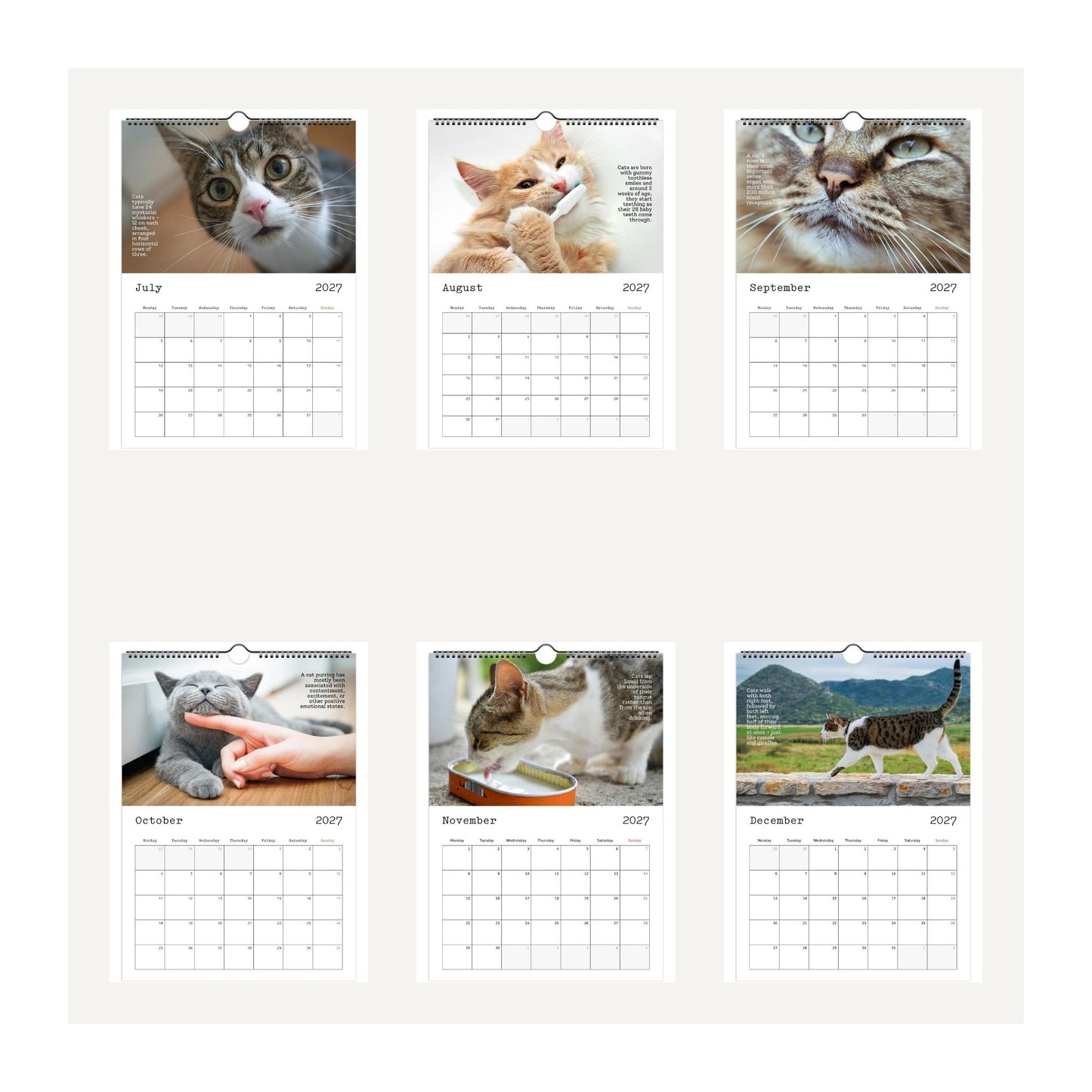Thumbnail images of a 2027 Cute Cats and Facts wall calendar displayed on a light beige background, featuring cat photographs for each month from July to December 2027. The calendar has a white grid layout with black text and is shown as a flat product mockup.