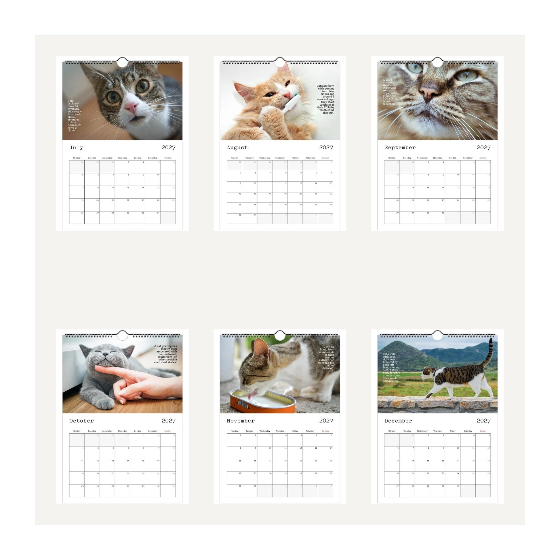 Thumbnail images of a 2027 Cute Cats and Facts wall calendar displayed on a light beige background, featuring cat photographs for each month from July to December 2027. The calendar has a white grid layout with black text and is shown as a flat product mockup.