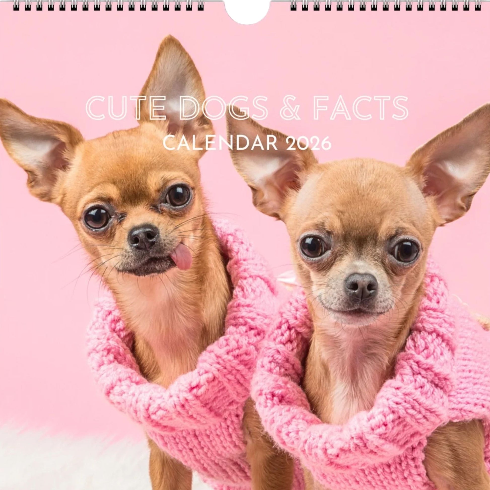 Cute Dogs and Facts Wall Calendar 2026 (Front Cover)