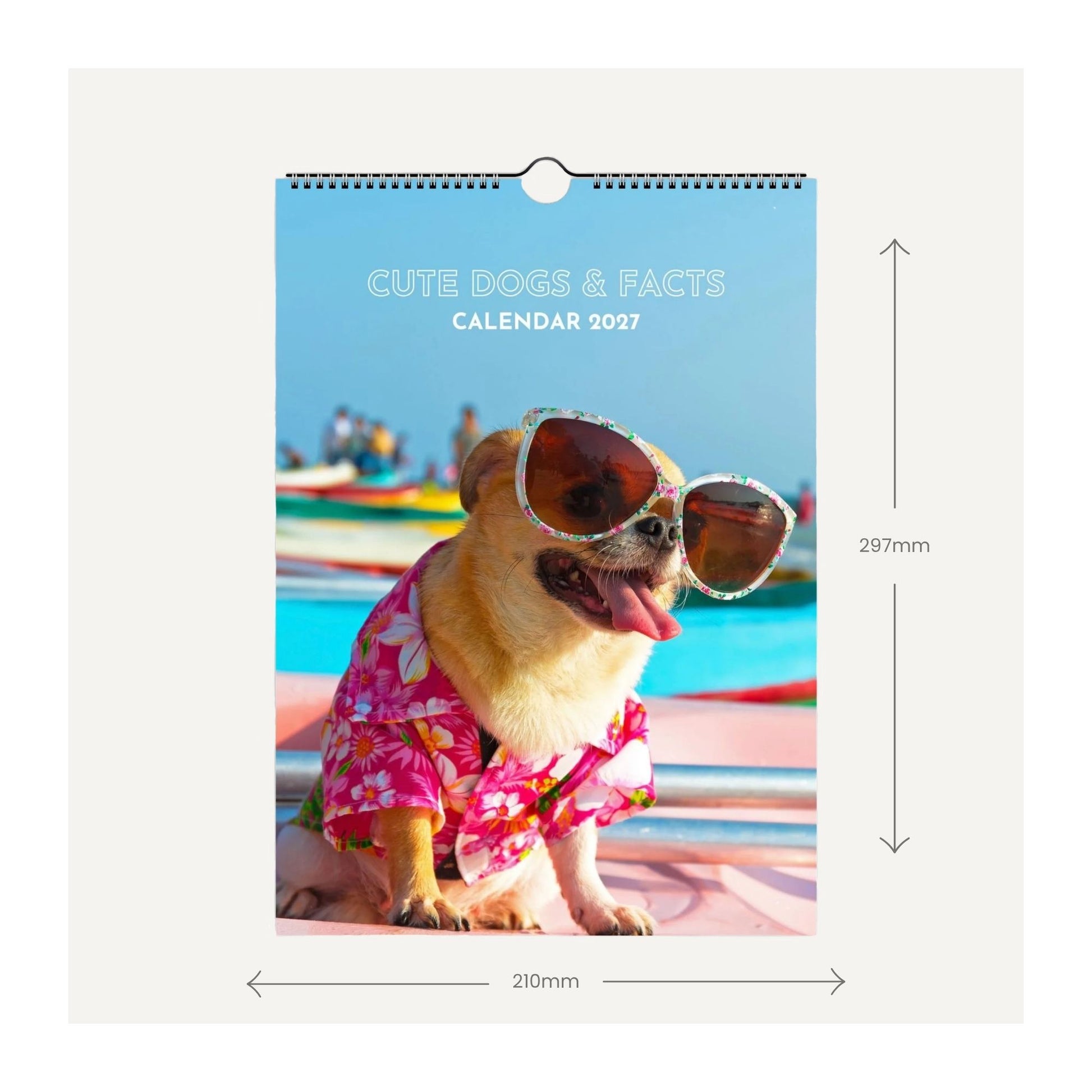 A 2027 wall calendar titled 'CUTE DOGS & FACTS' shown hanging against a light gray background, with dimension arrows indicating 297mm height and 210mm width. The cover photo features a small tan dog wearing oversized sunglasses and a pink floral shirt by a blue pool.