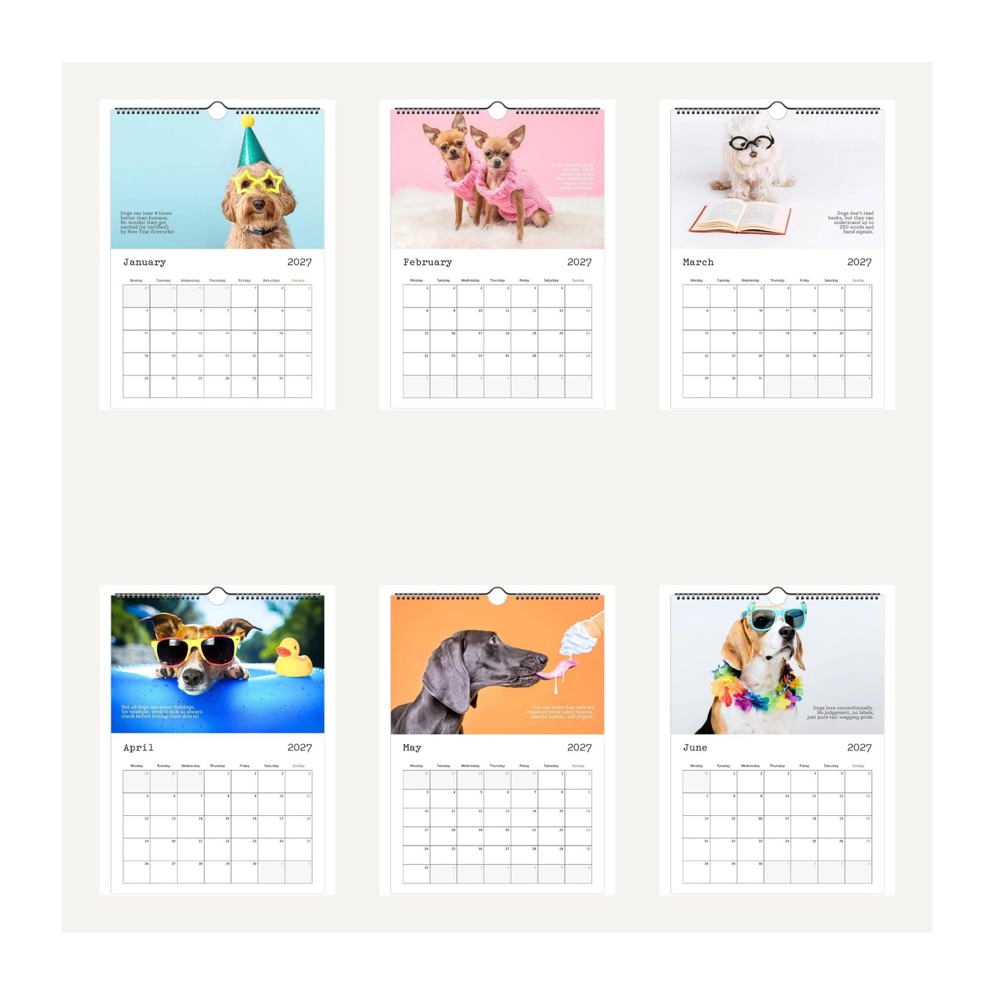 Thumbnail images for the Cute Dogs and Facts 2027 wall calendar. Featuring humorous dog photos for each month from January 2027 to June 2027. The dogs wear funny outfits and accessories like a party hat, glasses, sunglasses, and a rainbow collar.