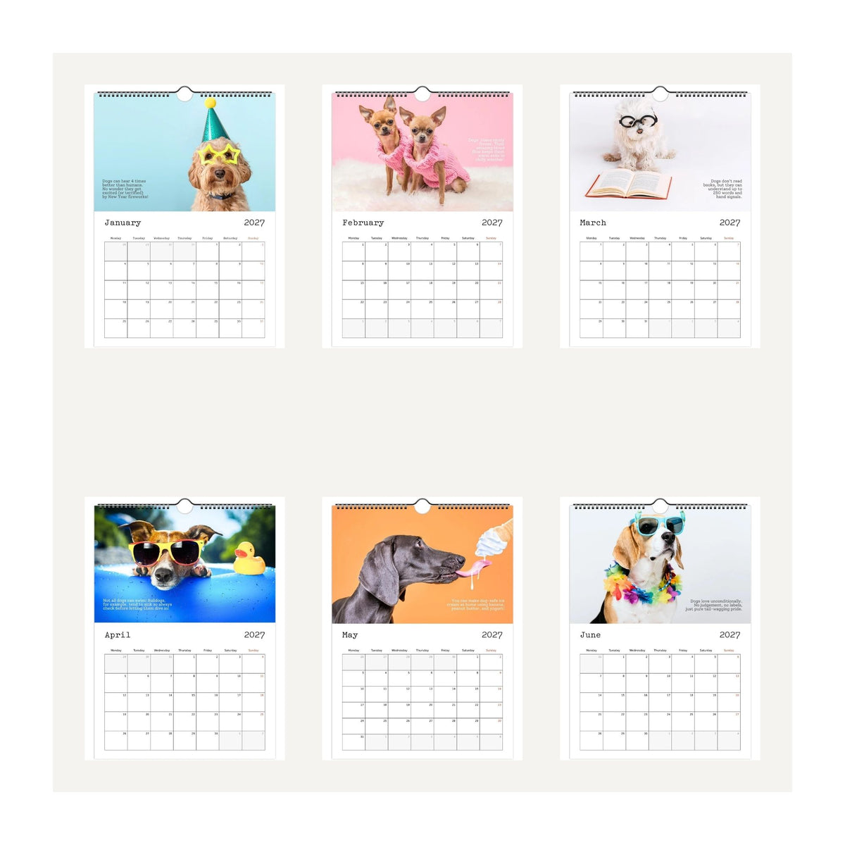 Thumbnail images for the Cute Dogs and Facts 2027 wall calendar. Featuring humorous dog photos for each month from January 2027 to June 2027. The dogs wear funny outfits and accessories like a party hat, glasses, sunglasses, and a rainbow collar.