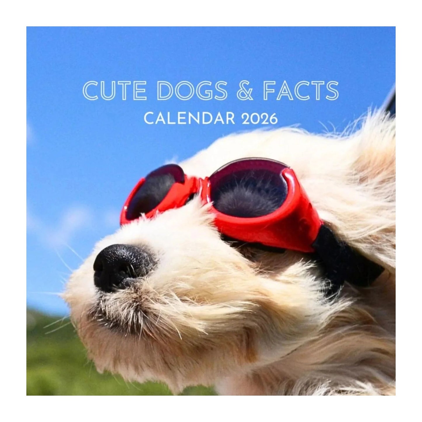 Cute dogs calendar 2026 cover image of dog wearing goggles