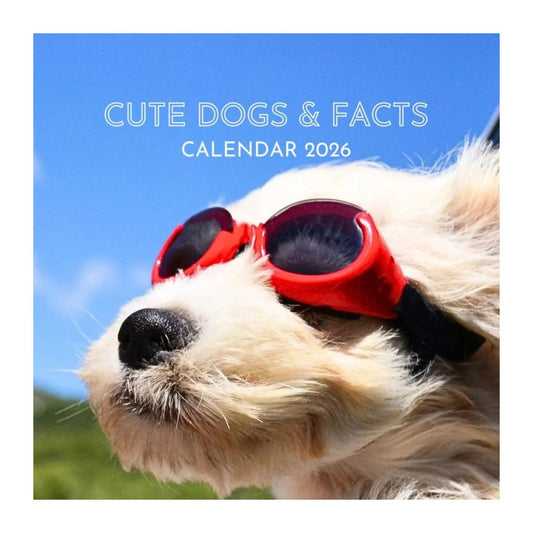 Cute dogs calendar 2026 cover image of dog wearing goggles