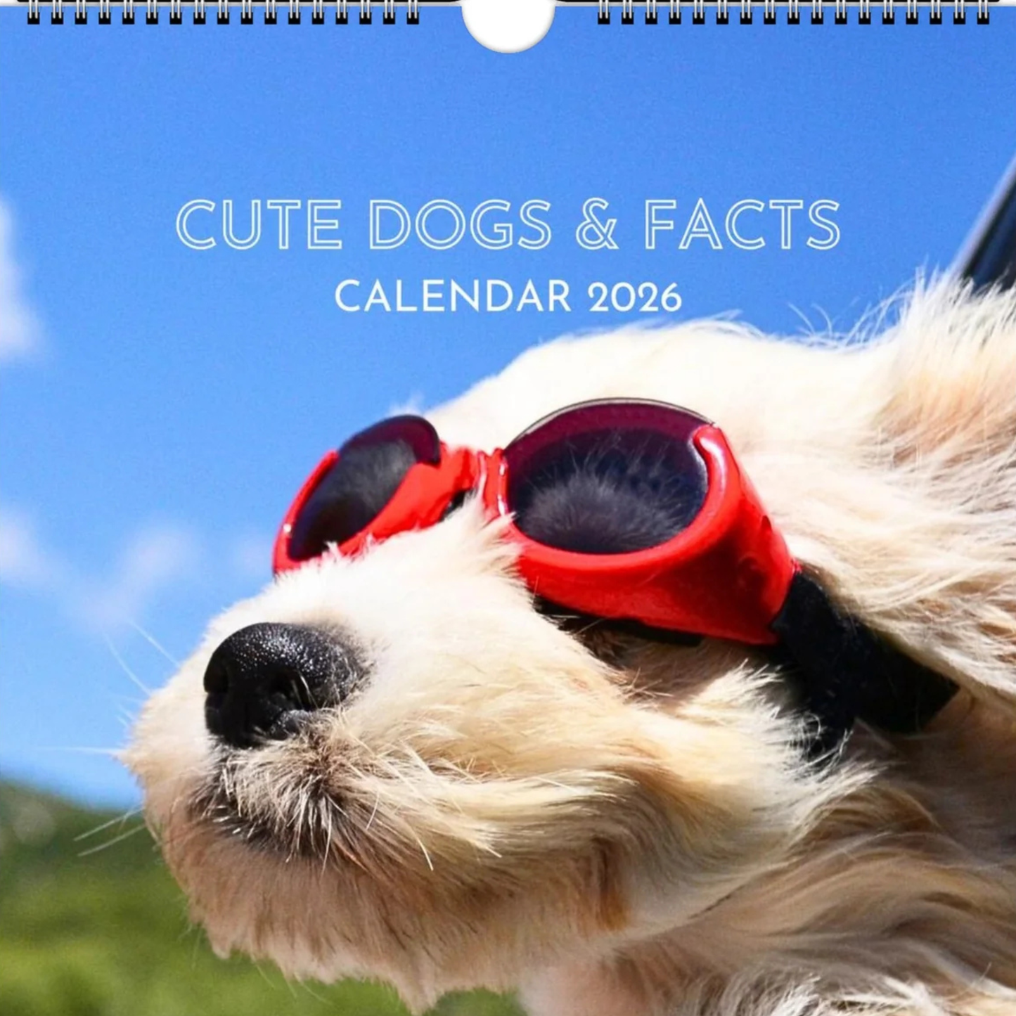 dogs calendar 2026 cover image of dog wearing goggles