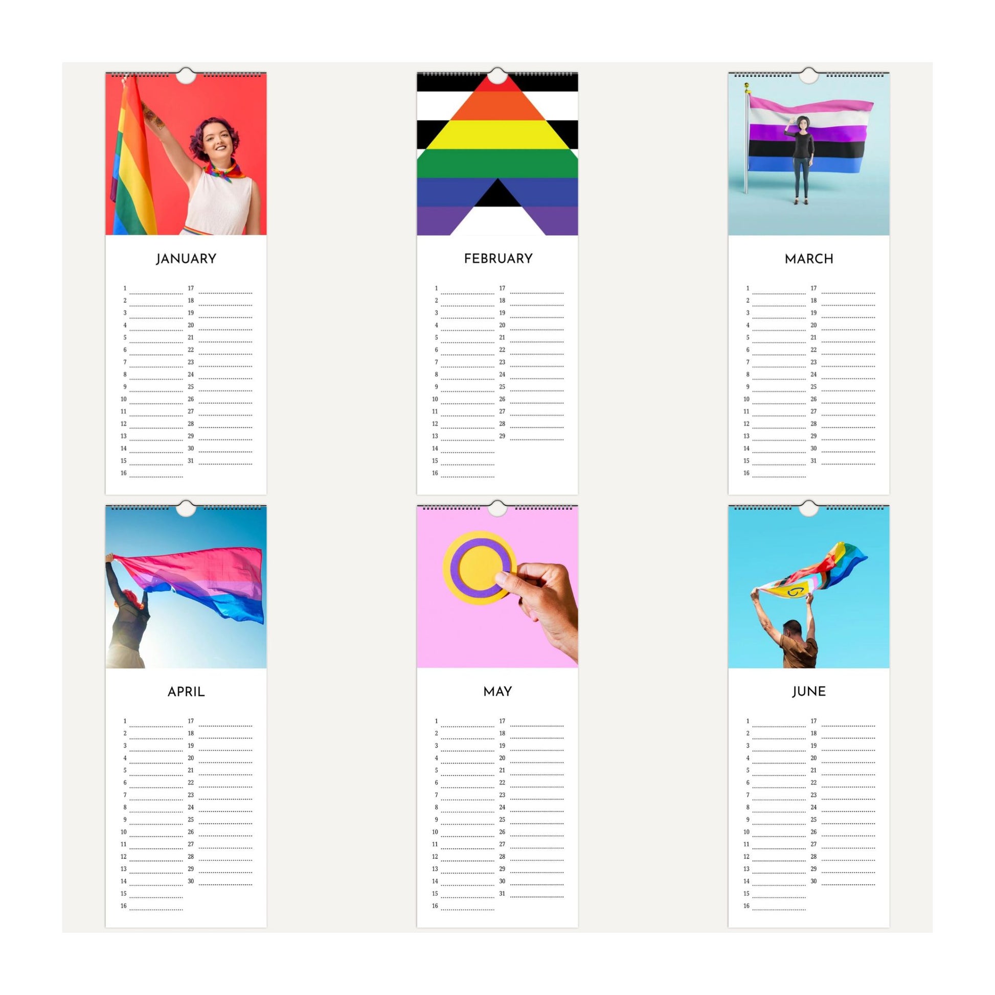 Love Diversity and Pride Flags Birthday Calendar thumbnail images of each month January to June