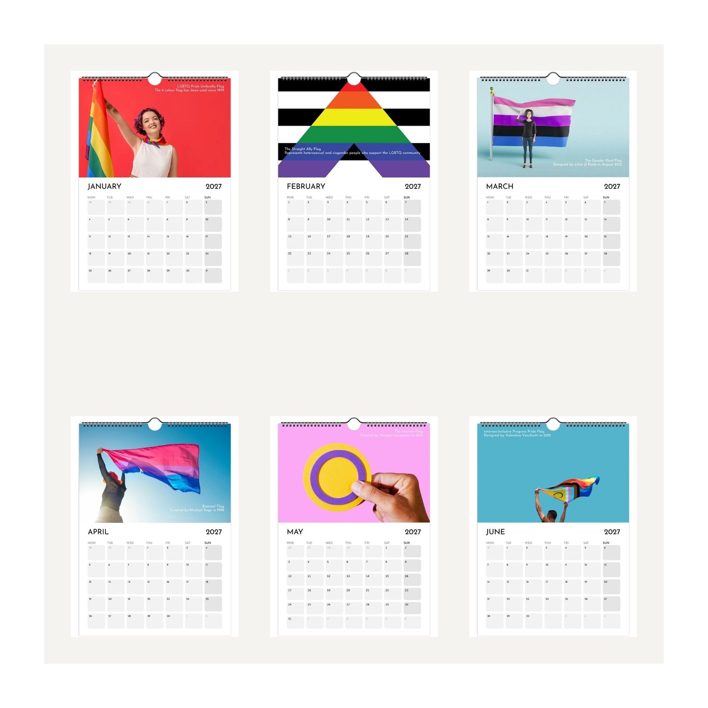 Six thumbnail images taken depicting pages from a Love, Pride and Diversity Flags calendar 2027. Displayed on a light beige background, featuring pride-themed illustrations and monthly grids from January to June 2027.